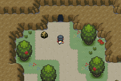 Segunda entrada de Hollow Cave en la Route 40